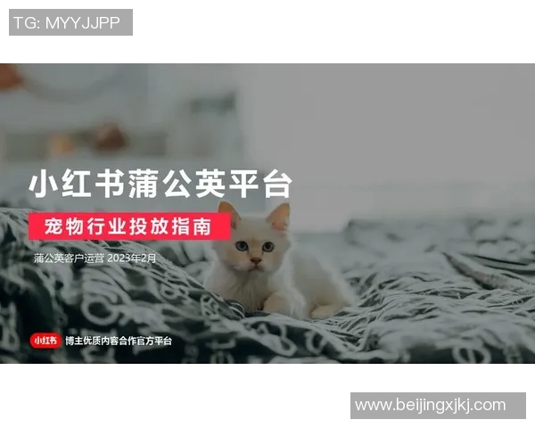 选择最佳足球比赛直播下载平台的全面指南与推荐