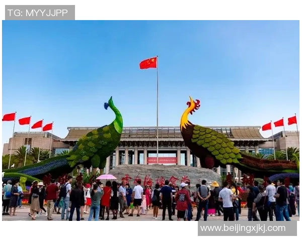 天地乾坤之间的和谐共生与人类未来的美好愿景探讨